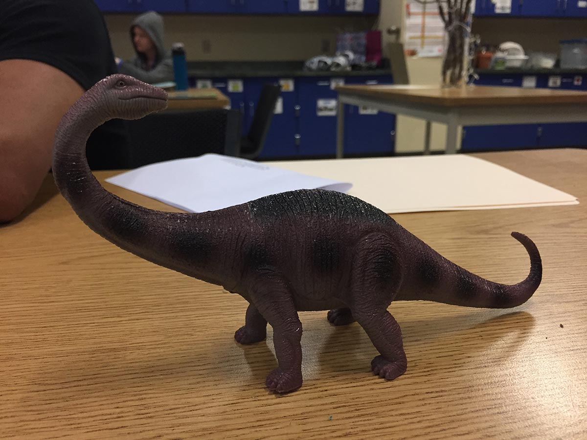 apatosaurus model