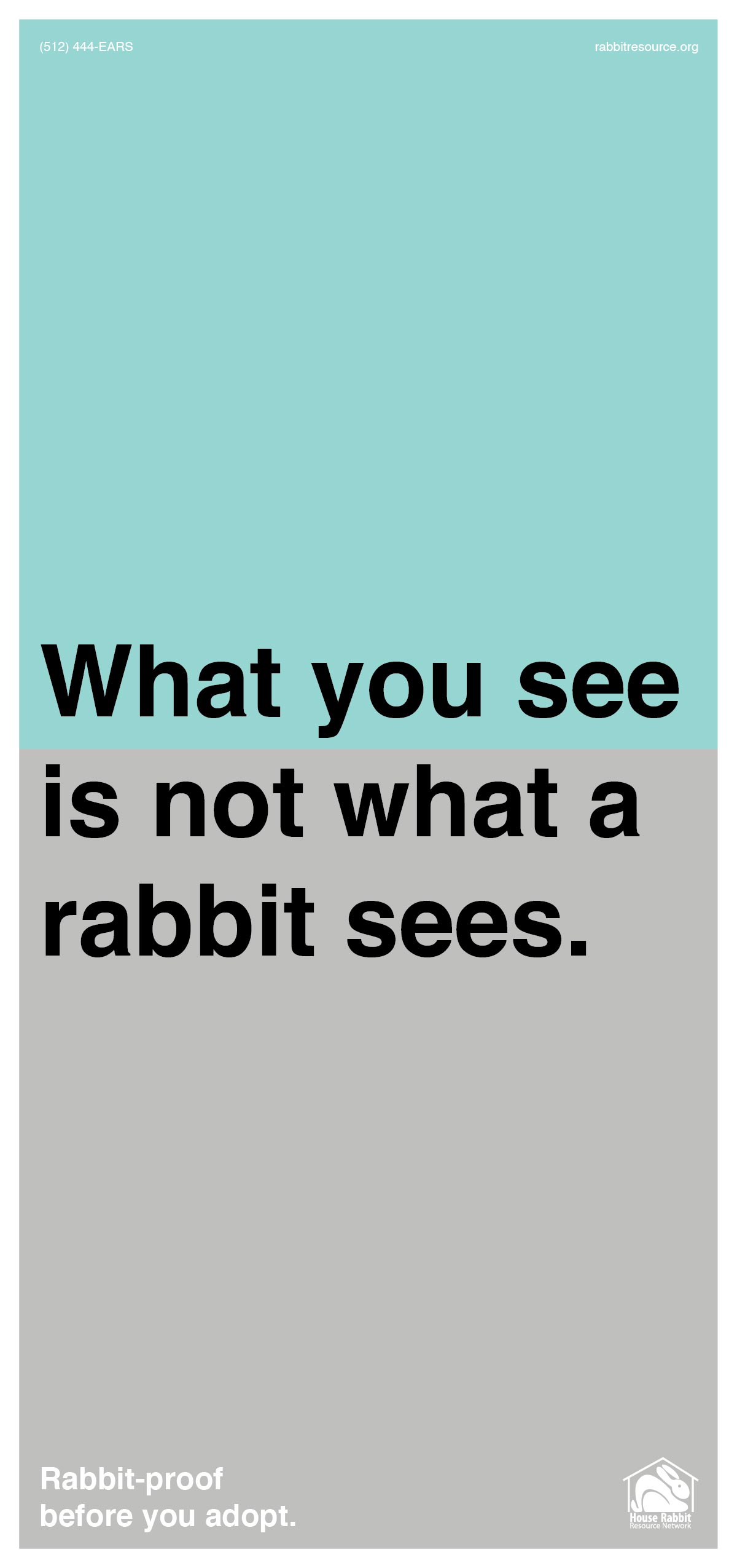 what you see is not what a rabbit sees.