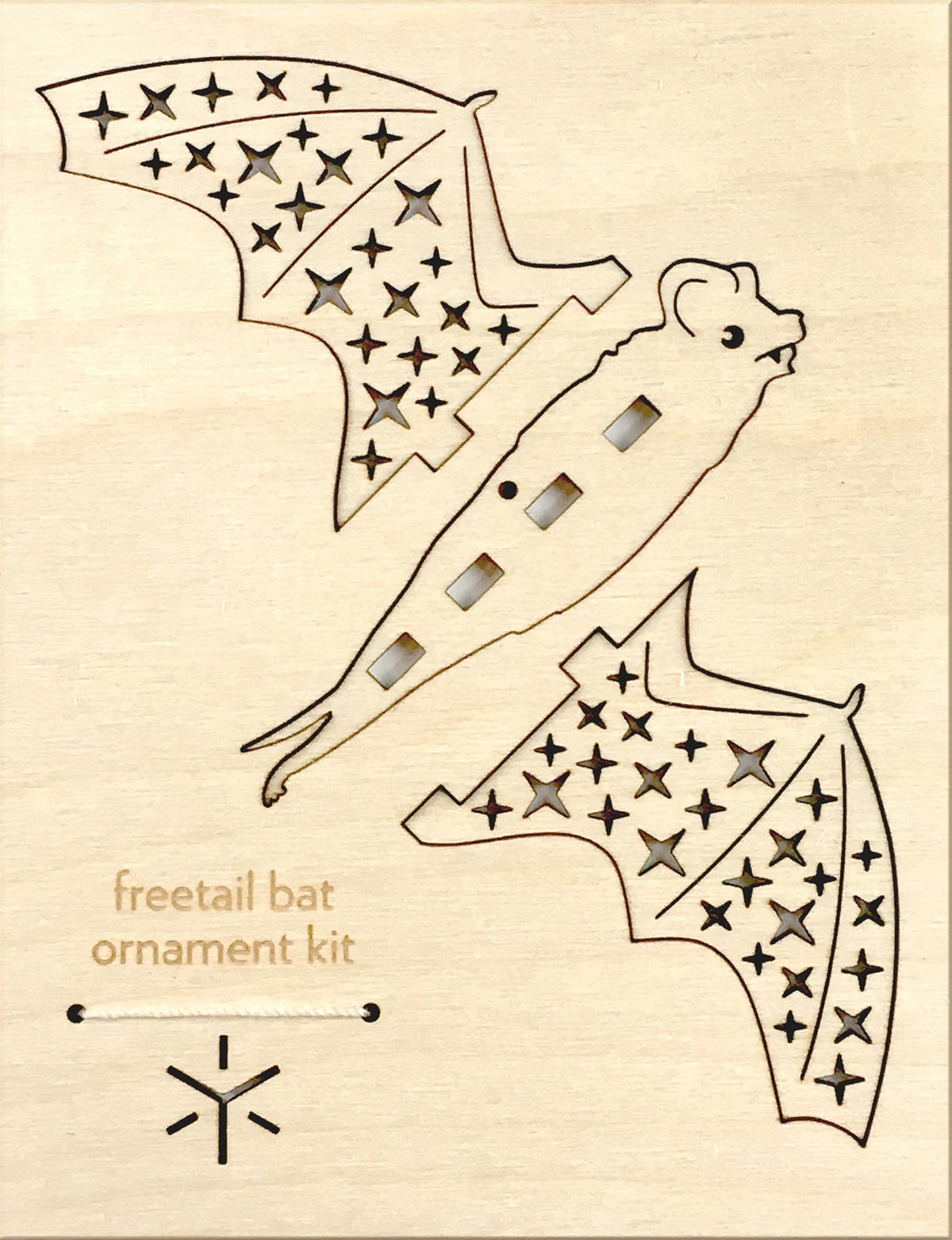 freetail bat