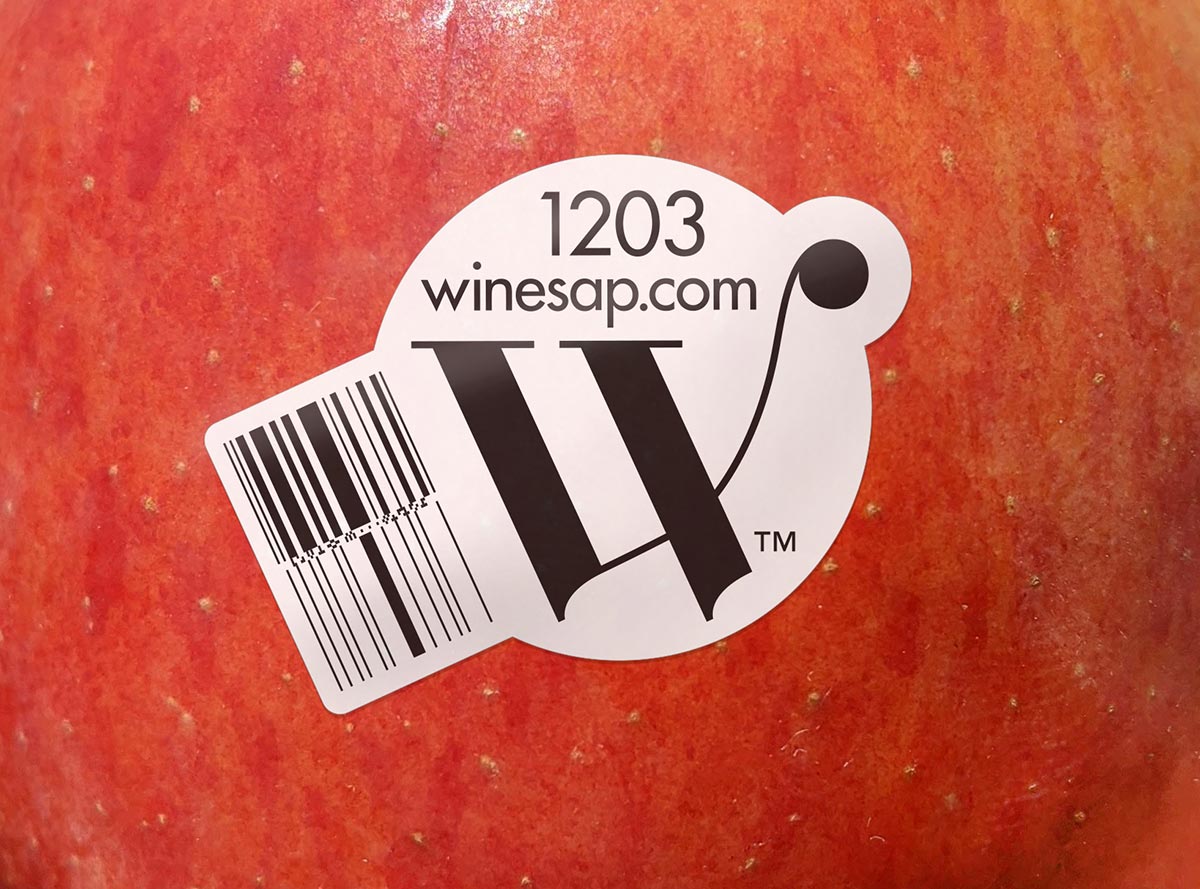 apple sticker detail