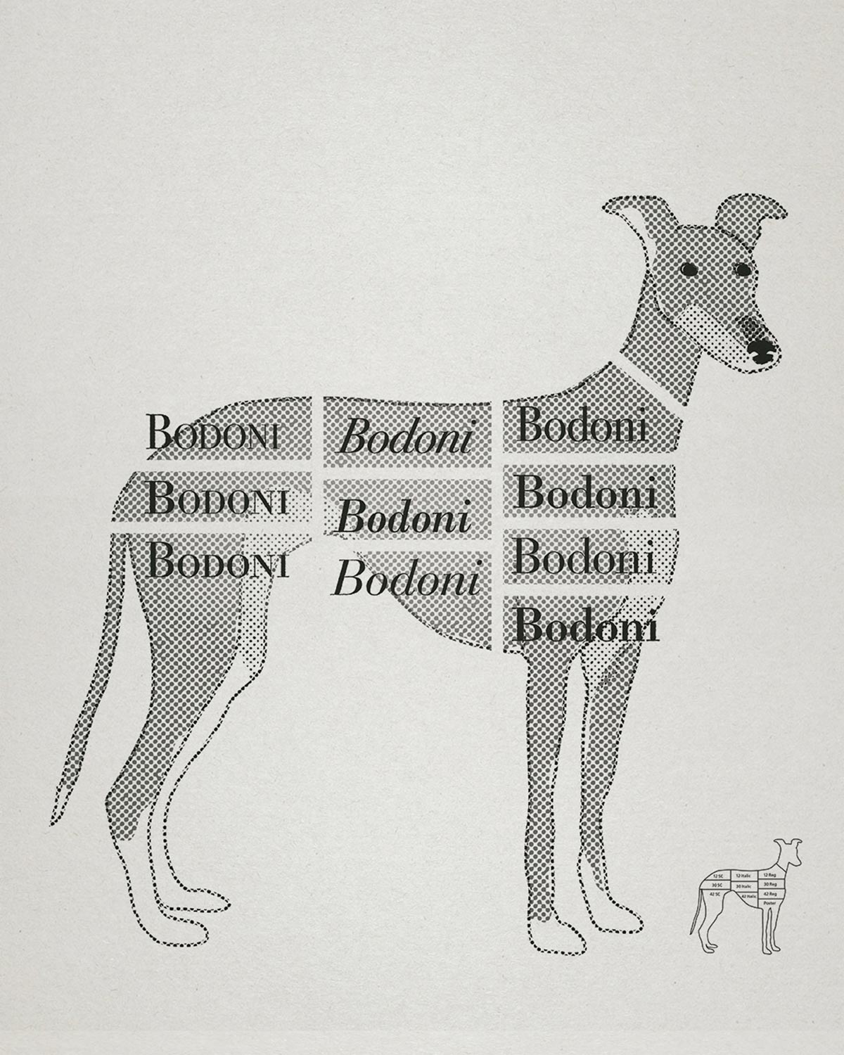 bodonihound