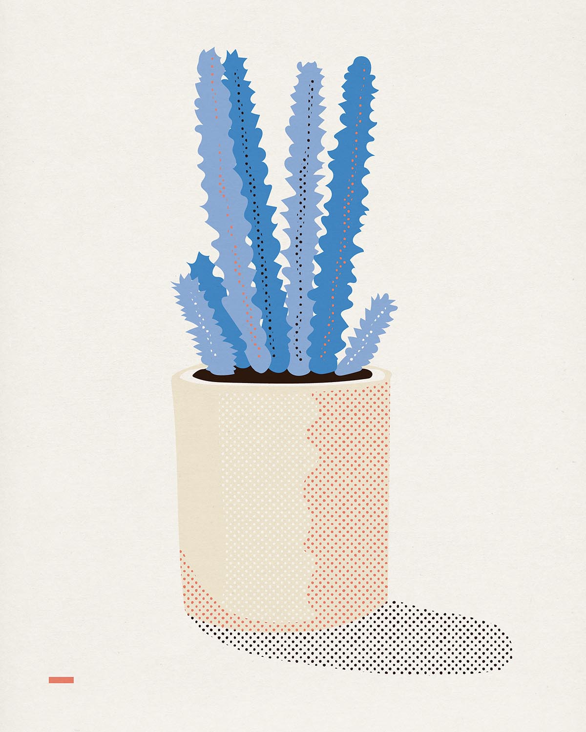 succulent_03